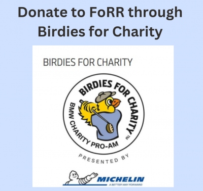 BMW Charity Pro-Am: Get Involved!