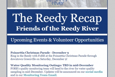 Read the November 2023 Reedy Recap!