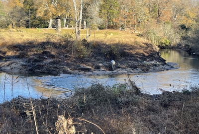 Rose Ball Restoration