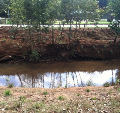 Minor League Baseball Helps Keep Greenville Green