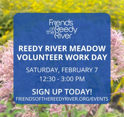 Volunteer Work Day #10 at Reedy River Meadow
