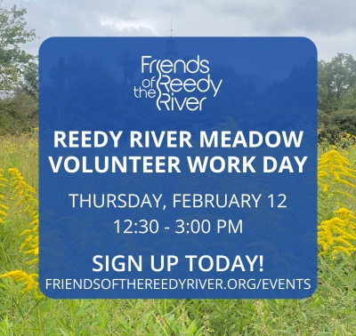Volunteer Work Day #11 at Reedy River Meadow